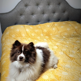 Entry image for Roosevelt SlushDaddy Von Schweetz Kacmar