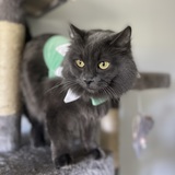 Entry image for Graciela