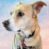 Entry image for Nola