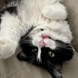 Entry image for Luke