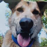 Entry image for ZACH