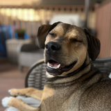 Entry image for Fiona