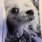 Entry image for Finn