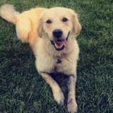 Entry image for Haley