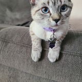 Entry image for Hope