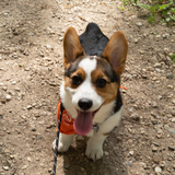 Entry image for Arthur