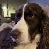 Entry image for Lincoln