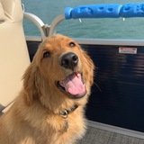 Entry image for Nike 