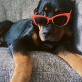 Entry image for Rowie