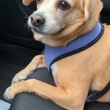 Entry image for Mindy