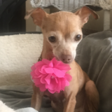 Entry image for Gabby