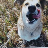 Entry image for Zach