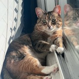 Entry image for Binx