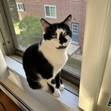 Entry image for Leroy