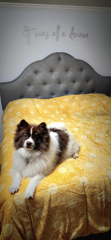 Entry image for Roosevelt SlushDaddy Von Schweetz Kacmar. Clicking this image will show a larger photo