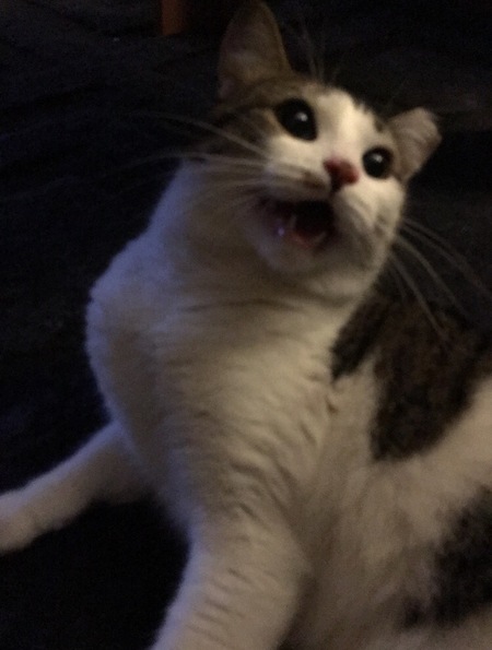 Rhaegar