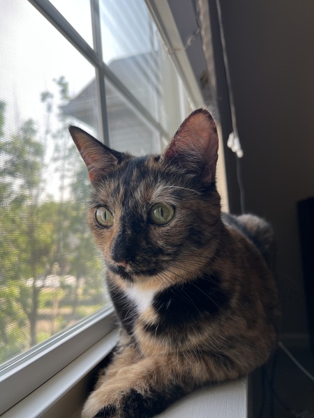 Entry image for Bogg. Clicking this image will show a larger photo