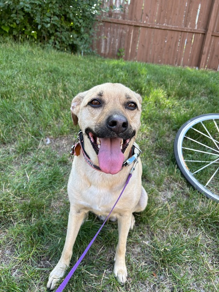 Tilly