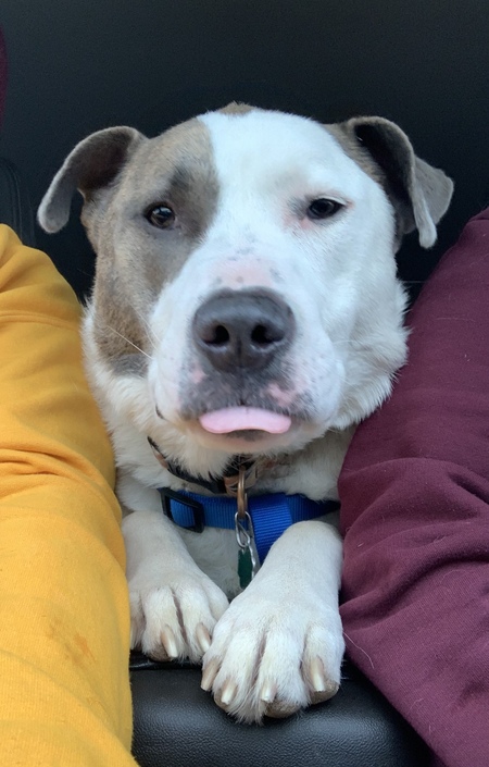 Entry image for Bronn of the Blackwater. Clicking this image will show a larger photo