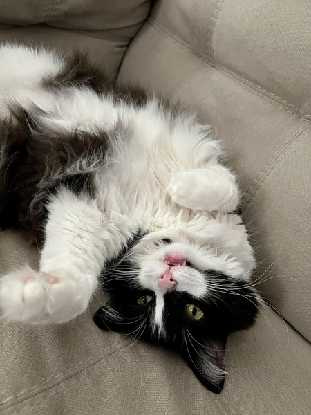 Entry image for Luke. Clicking this image will show a larger photo