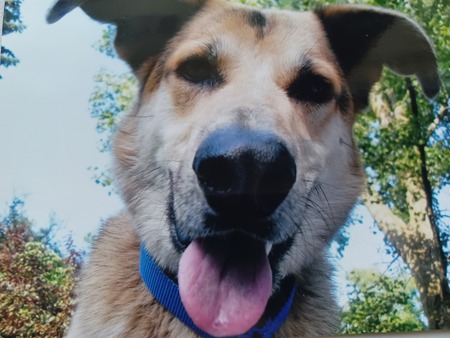 Entry image for ZACH. Clicking this image will show a larger photo