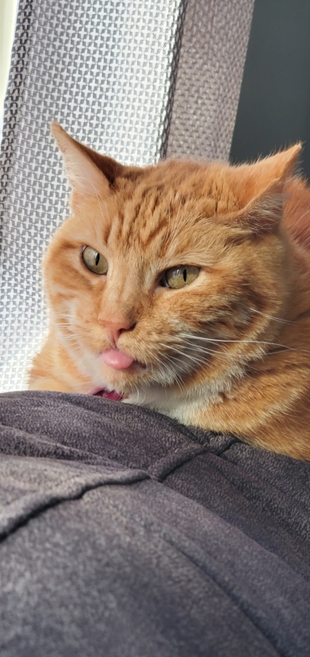 Caramel