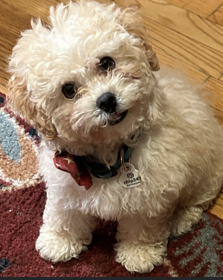 Vito