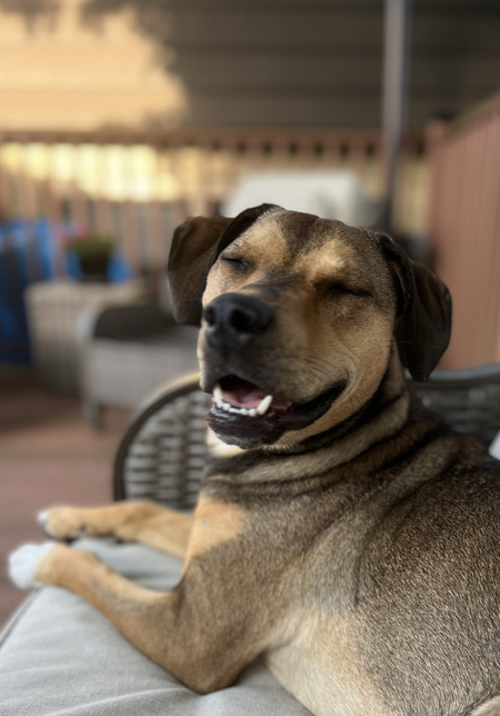 Entry image for Fiona. Clicking this image will show a larger photo