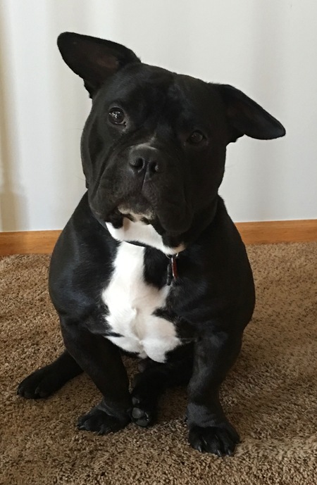 Entry image for Diesel. Clicking this image will show a larger photo