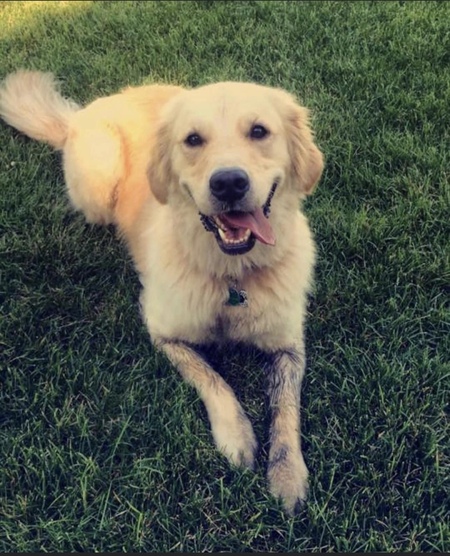 Entry image for Haley. Clicking this image will show a larger photo