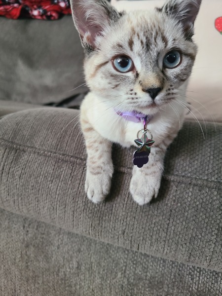 Entry image for Hope. Clicking this image will show a larger photo