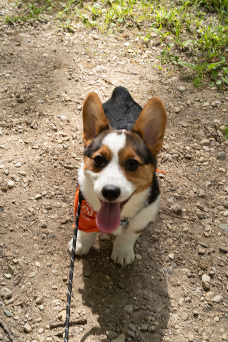 Entry image for Arthur. Clicking this image will show a larger photo