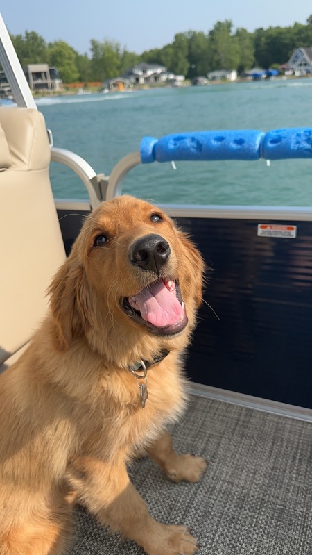 Entry image for Nike . Clicking this image will show a larger photo