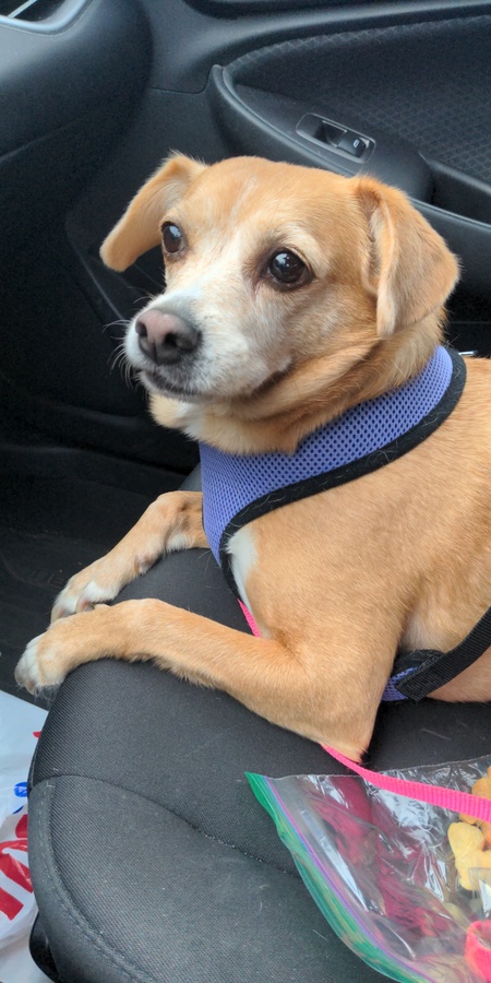 Entry image for Mindy. Clicking this image will show a larger photo