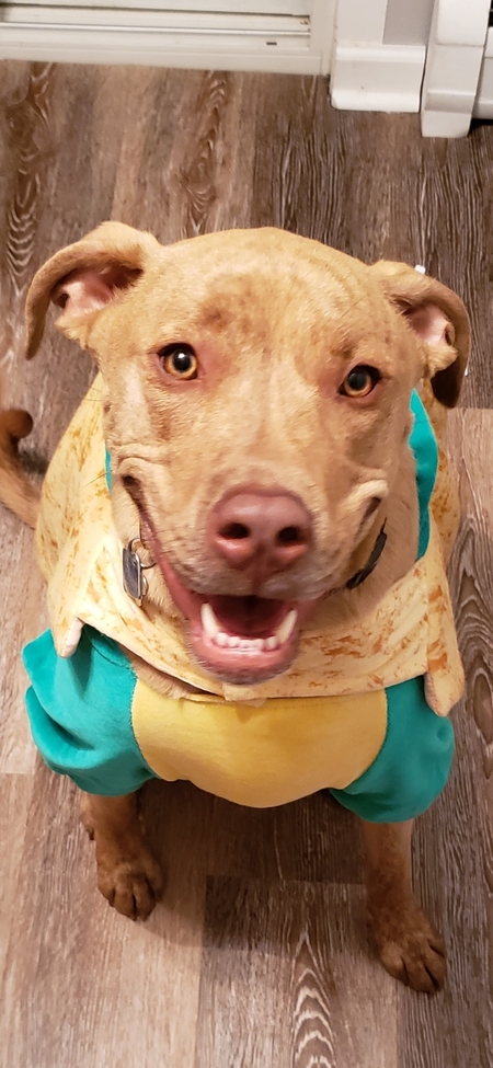 Entry image for Whiskey. Clicking this image will show a larger photo