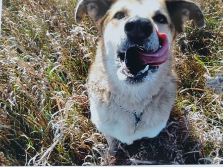 Entry image for Zach. Clicking this image will show a larger photo