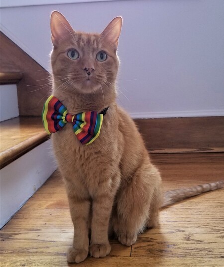 Entry image for Patrick. Clicking this image will show a larger photo