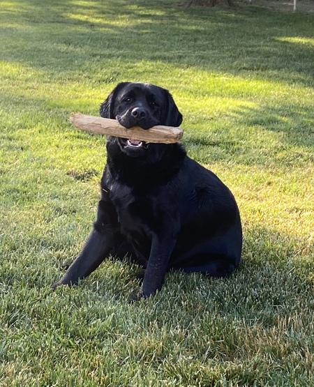 Entry image for Marty. Clicking this image will show a larger photo