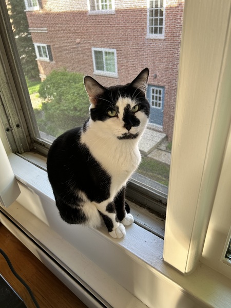 Entry image for Leroy. Clicking this image will show a larger photo