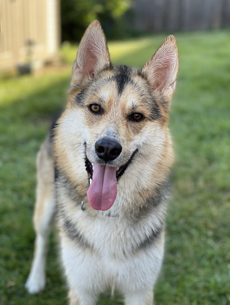 Entry image for Max. Clicking this image will show a larger photo