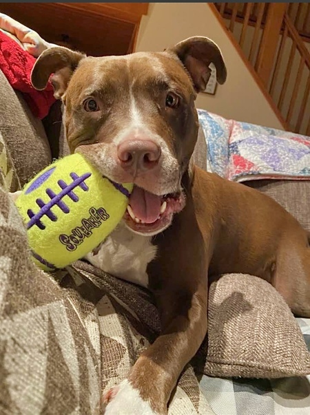 Entry image for Woody . Clicking this image will show a larger photo