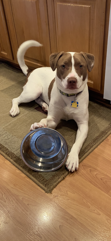 Entry image for Willy AKA Willard Scott. Clicking this image will show a larger photo