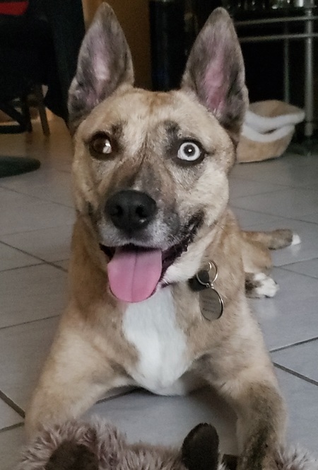 Entry image for Kai. Clicking this image will show a larger photo