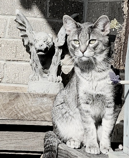 Entry image for Gustibus. Clicking this image will show a larger photo