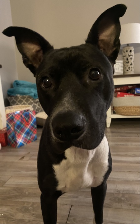 Entry image for Titan. Clicking this image will show a larger photo