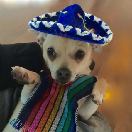 Entry image for Ania. Clicking this image will show a larger photo