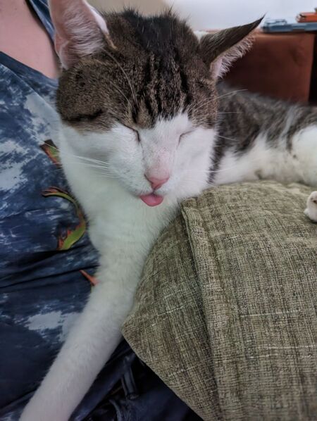 Entry image for Samus . Clicking this image will show a larger photo