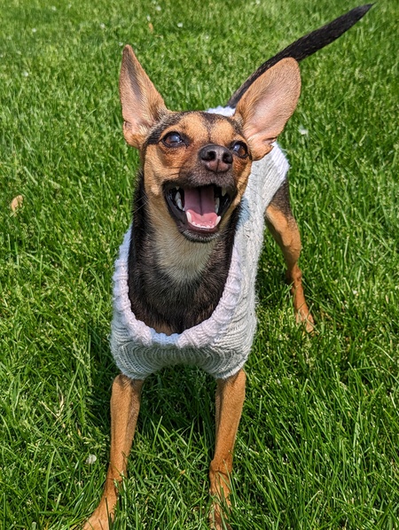 Entry image for Olivia. Clicking this image will show a larger photo