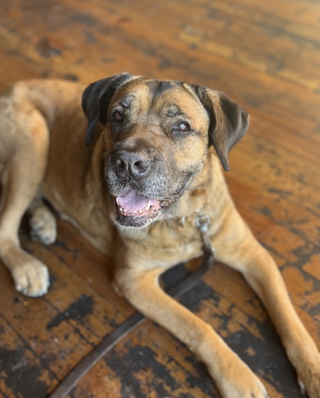 Duncan 