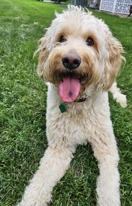 Ellie